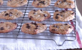 coconut flour cookie chocolate chip banana cookie