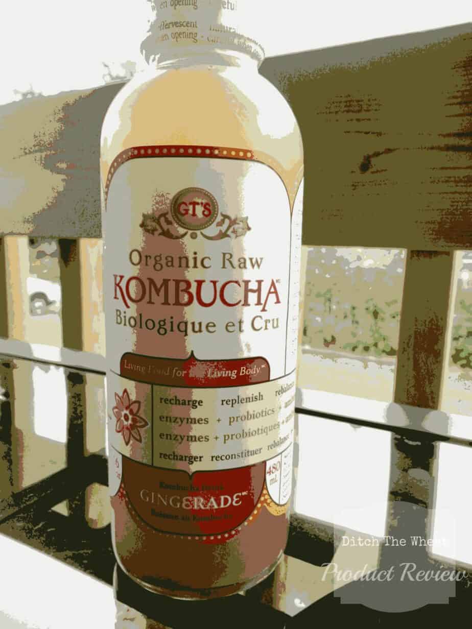 Kombucha Adventure