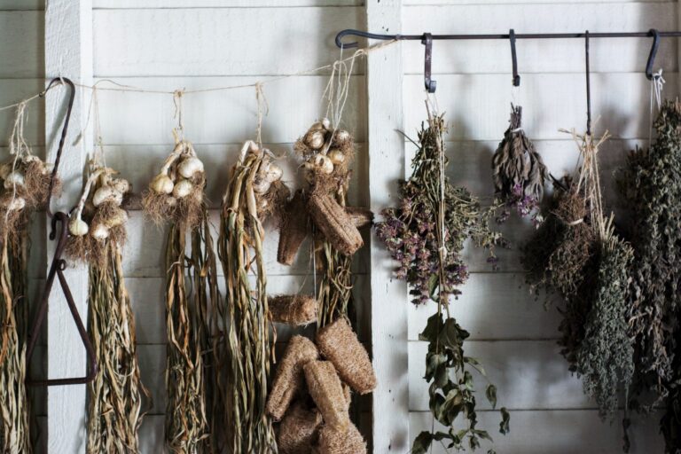 Herbs air drying against a wall.