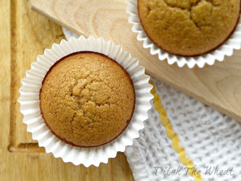 Coconut Flour Muffins