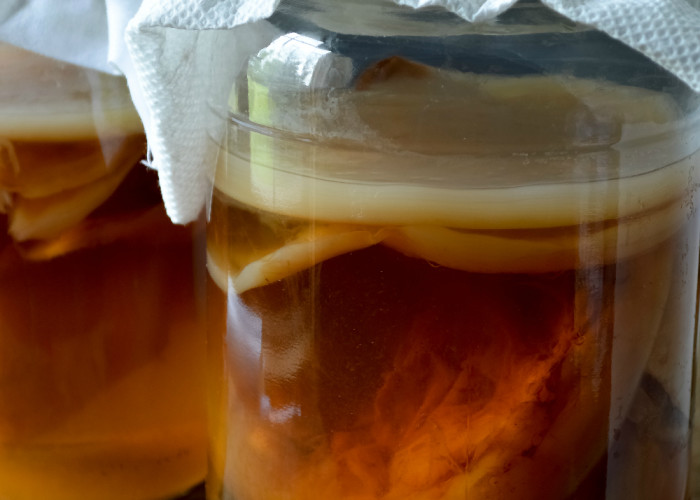 How to Grow a Kombucha Scoby from Bottled Kombucha