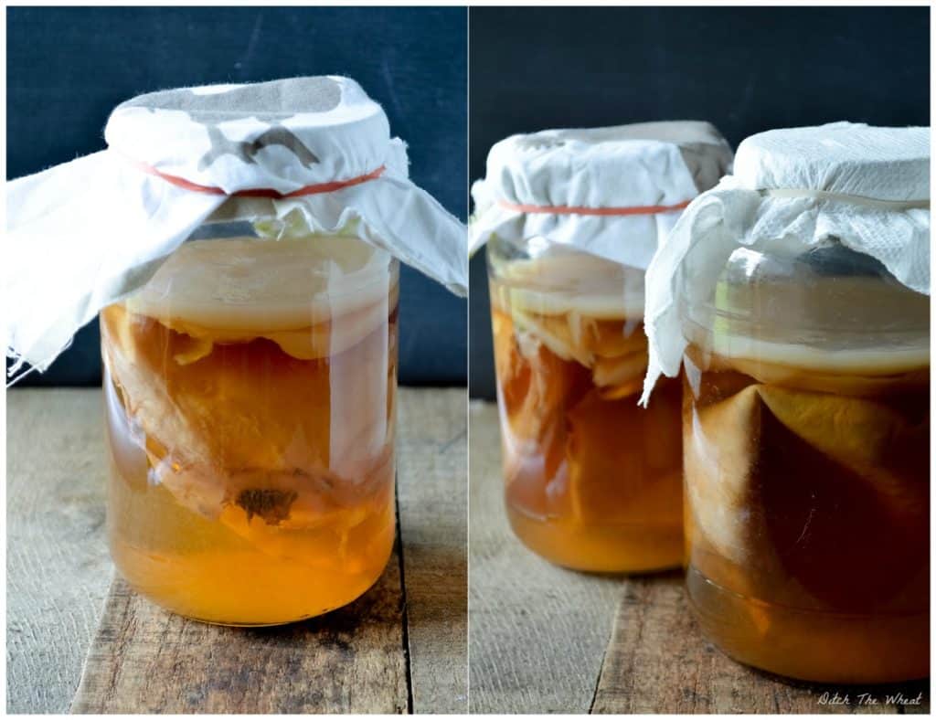 How to Grow a Kombucha Scoby from Bottled Kombucha - Ditch the Wheat
