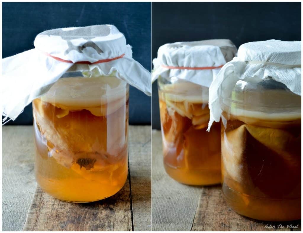 DIY Scoby - Kombucha Brewing