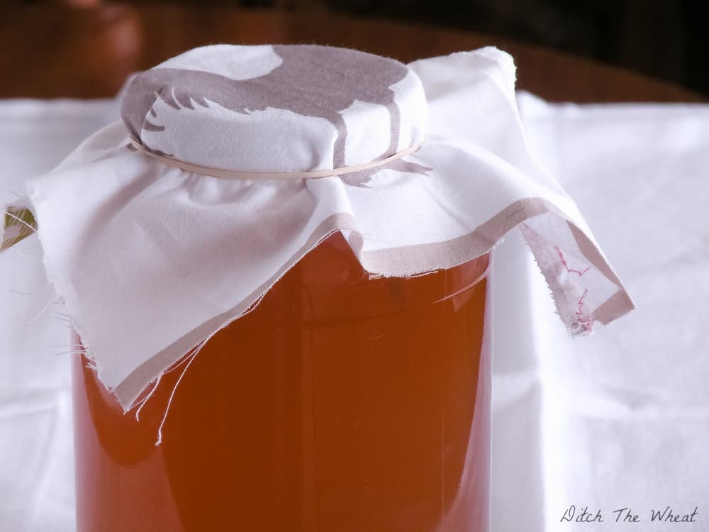How to Grow a Scoby