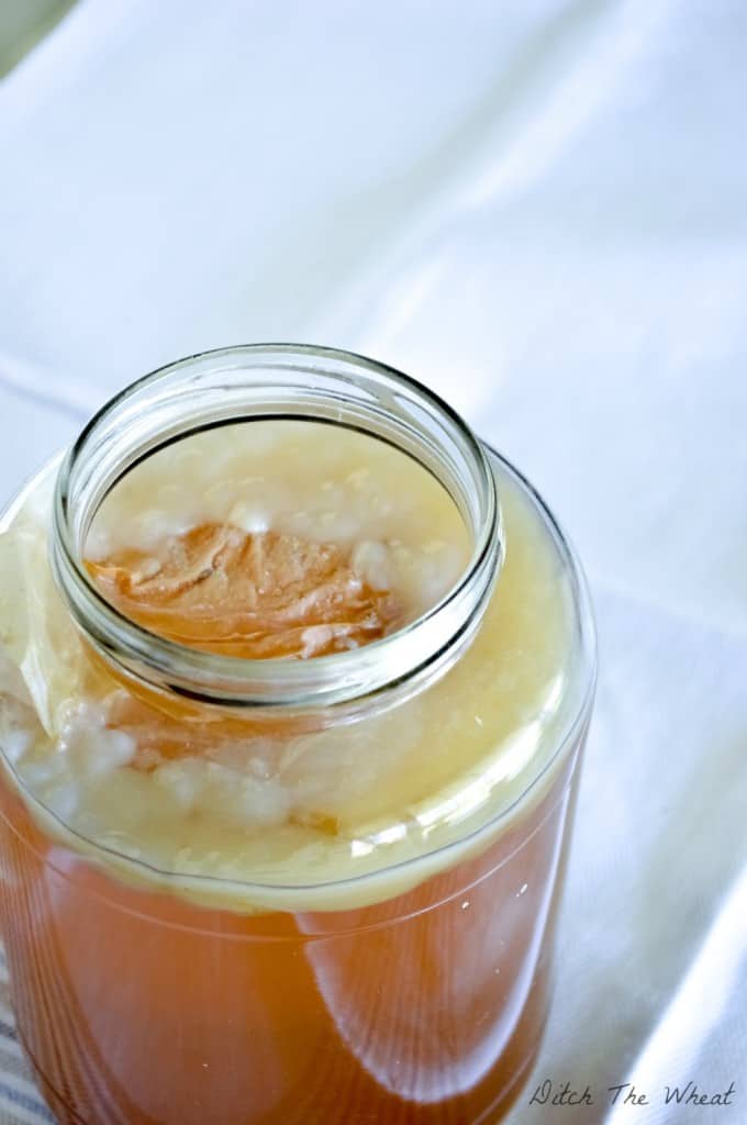 How to Grow a Scoby