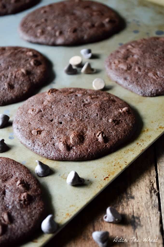 THE BEST Double Chocolate Chip Coconut Flour Cookies [1/3 cup extra virgin coconut oil or butter, 2/3 cup coconut palm sugar, 2 large eggs, 1 tsp vanilla extract, 3 tbsp coconut flour, sifted, ¼ cup unsweetened cocoa powder, ¼ tsp baking soda, 1/8 tsp salt, ½ cup dark chocolate chips] coconut flour cookies, chocolate coconut flour cookies, paleo coconut flour cookies, gluten-free coconut flour cookies, coconut flour cookies recipe, coconut flour chocolate cookies