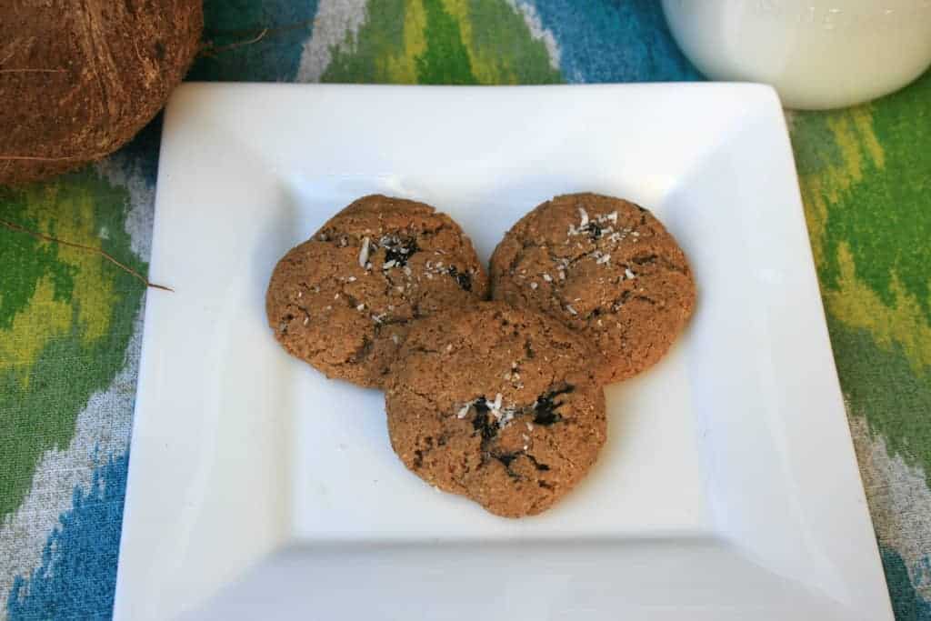 Paleo Almond Butter Cookies