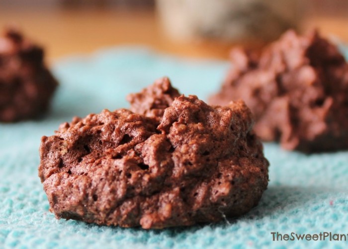 Grain-Free Chocolate Coconut Cookies