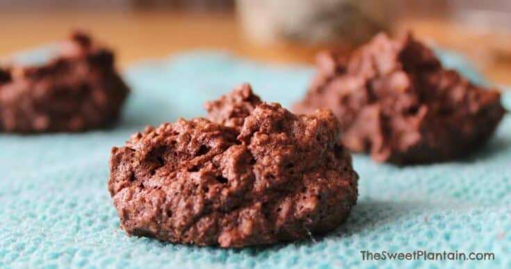 Grain-Free Chocolate Coconut Cookies
