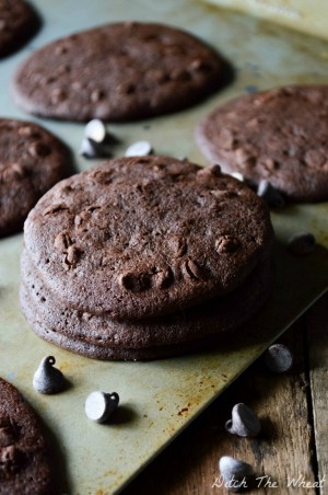THE BEST Double Chocolate Chip Coconut Flour Cookies [1/3 cup extra virgin coconut oil or butter, 2/3 cup coconut palm sugar, 2 large eggs, 1 tsp vanilla extract, 3 tbsp coconut flour, sifted, ¼ cup unsweetened cocoa powder, ¼ tsp baking soda, 1/8 tsp salt, ½ cup dark chocolate chips] coconut flour cookies, chocolate coconut flour cookies, paleo coconut flour cookies, gluten-free coconut flour cookies, coconut flour cookies recipe, coconut flour chocolate cookies