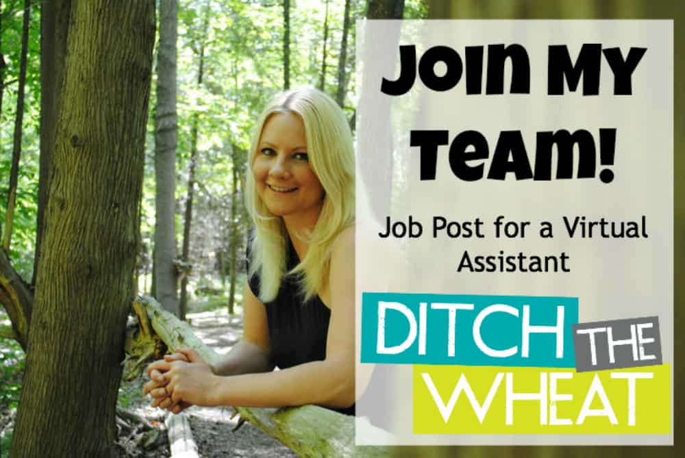 Join My Team! Job Post for a Virtual Assistant - Ditch the Wheat