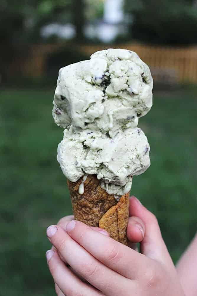 Mint Chocolate Chip Ice Cream (with essential oils), The Unrefined Kitchen