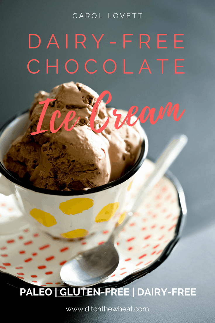 Dairy-Free Chocolate Ice Cream - Ditch the Wheat