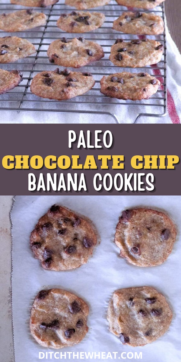 Paleo chocolate chip banana cookies on a cooling rack and on a cookie tray.