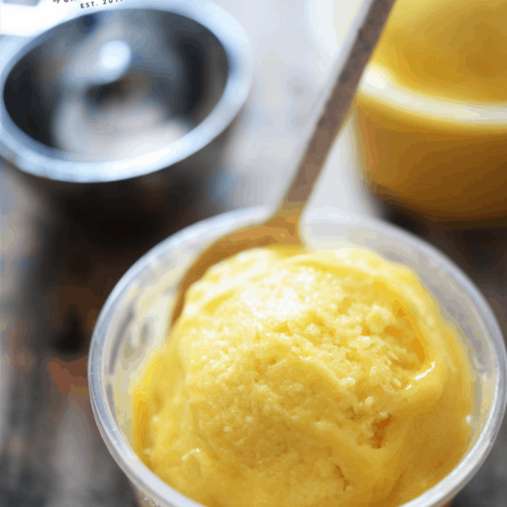 How To Make Mango Sorbet with the Dash My Pint Ice Cream Maker (Easy Ice  Cream Maker Recipes) 