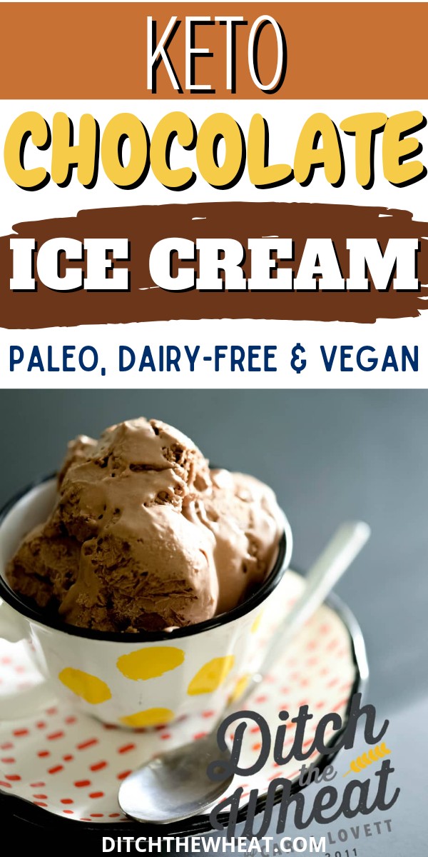 A cup with scoops of dairy-free chocolate ice cream and a plate with a spoon.