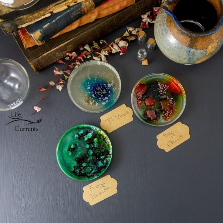 Image for Petri Dish Treats