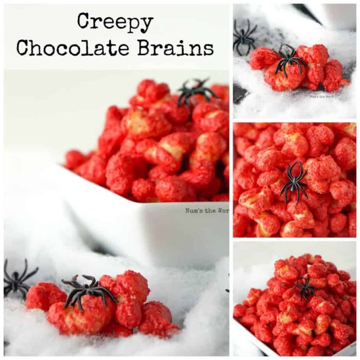 Image for Creepy Chocolate Brains