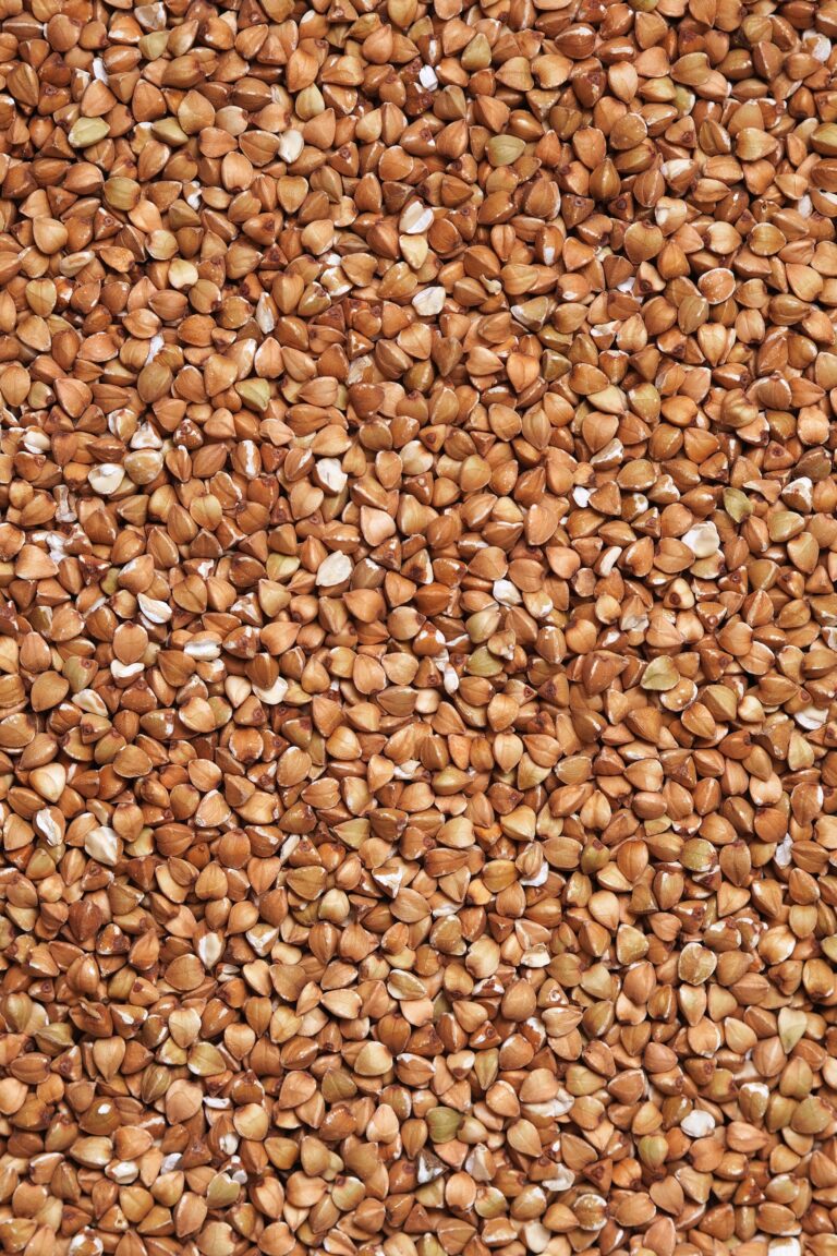 Is Buckwheat Gluten Free? Buckwheat groats
