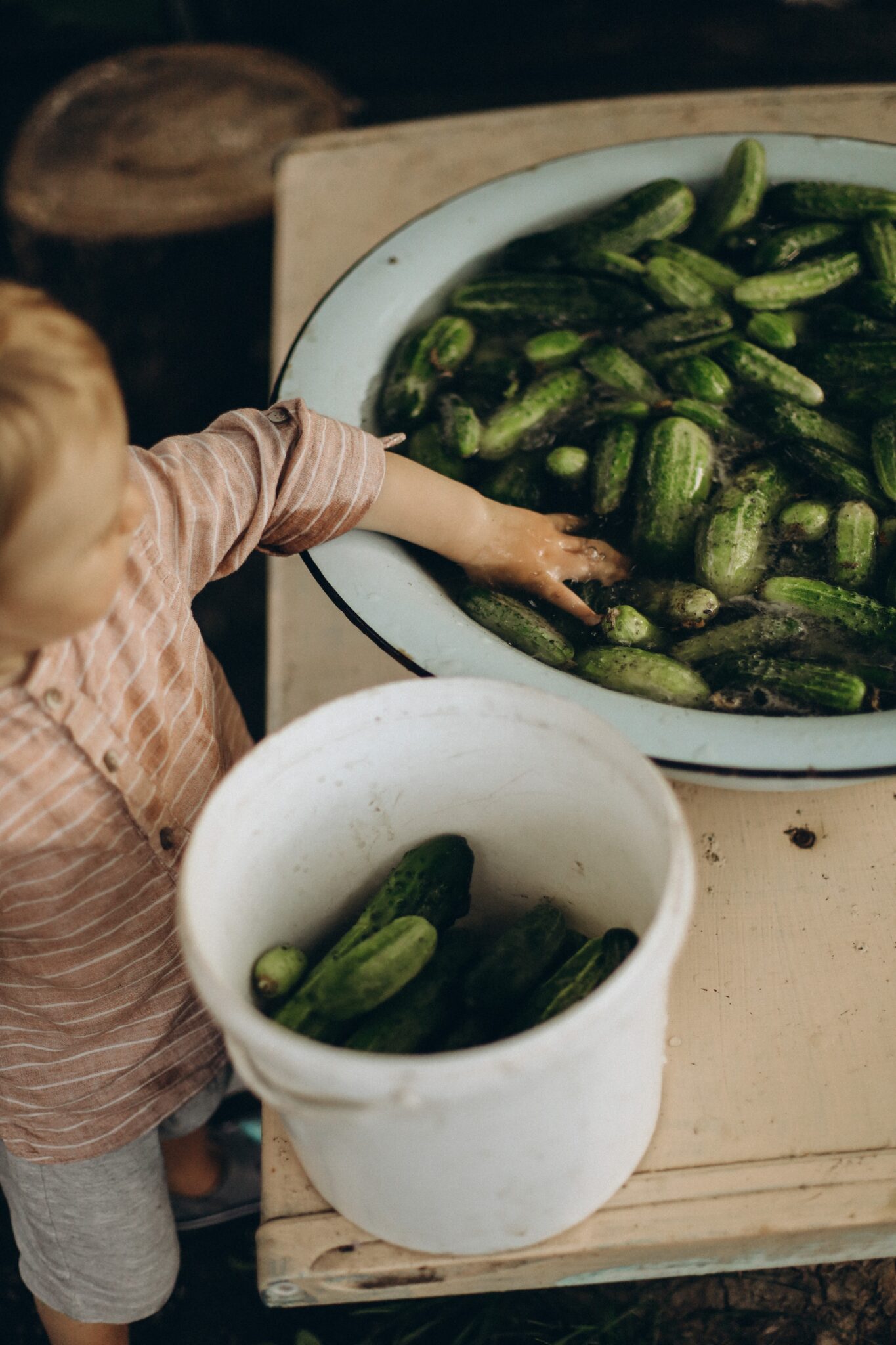 What Brands of Pickles are Fermented? Ditch the Wheat