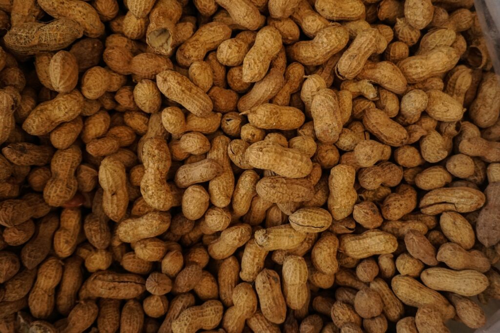 Are peanuts gluten free? Peanuts in their shell.