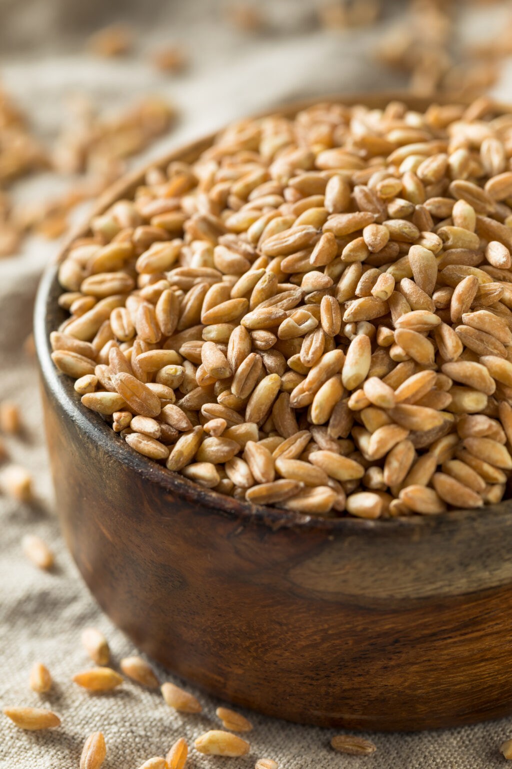 Is Farro Gluten Free? This Grain Isn't Healthy for Some People! Ditch