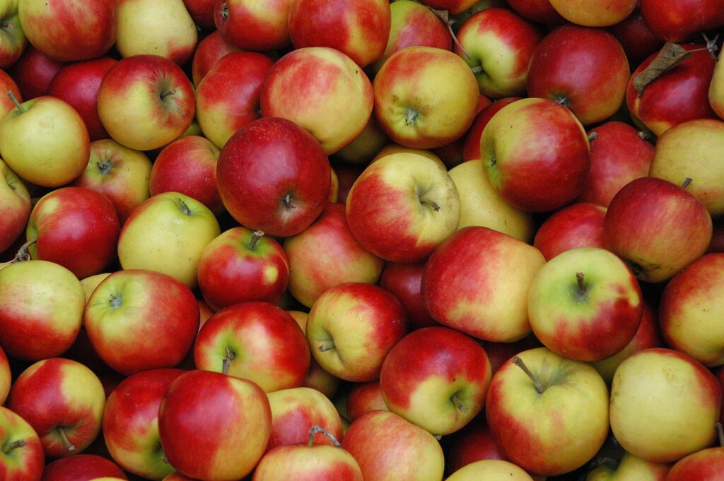 Is Hard Cider Gluten Free? A picture of apples.