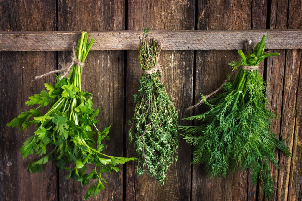 Parsley, thyme, and dill hanging to dry.
