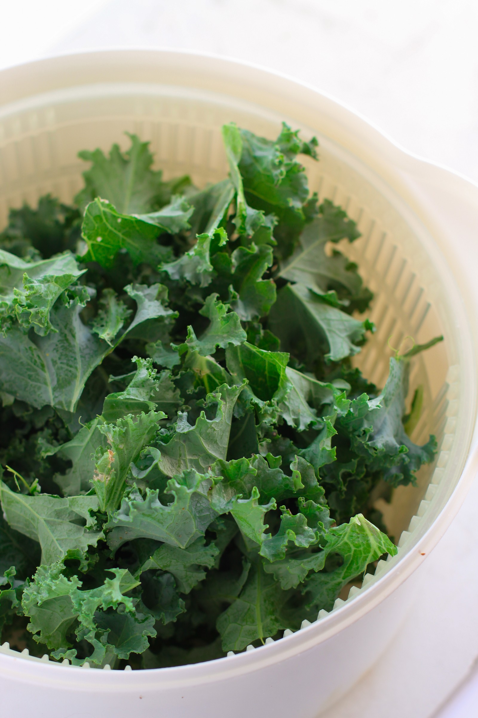 Raw kale in a bowl. 