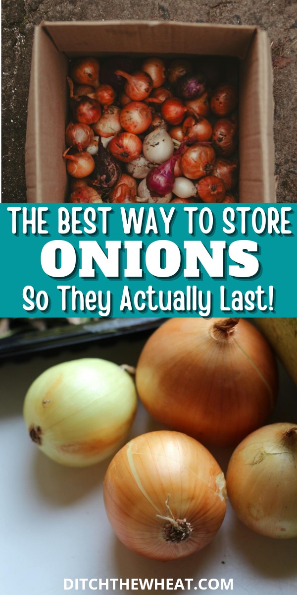 Four onions beside a box of rosemary on a kitchen counter and a box of onions.