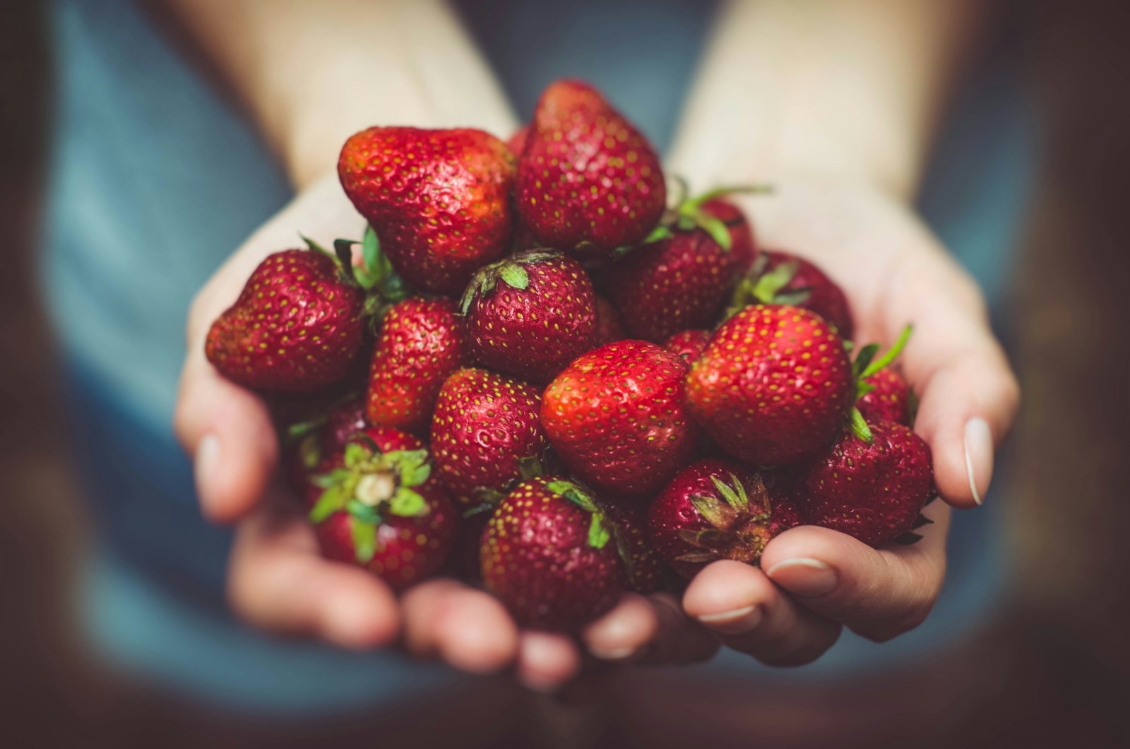 Strawberries in a woman's hands.