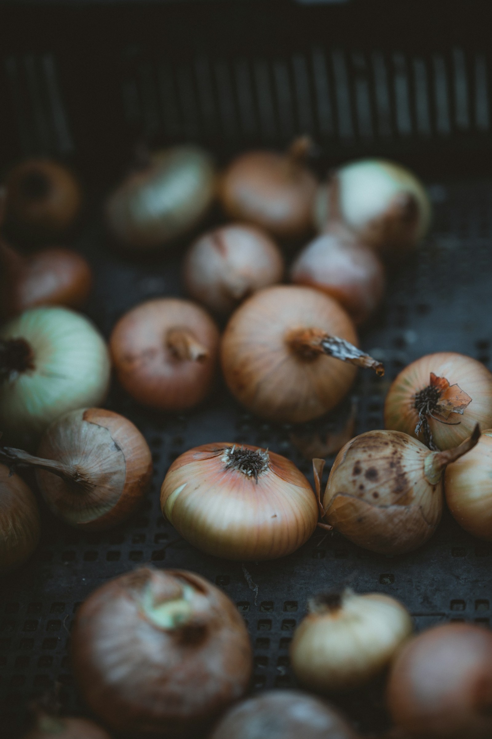 A variety of sweet onions in a dark setting. 