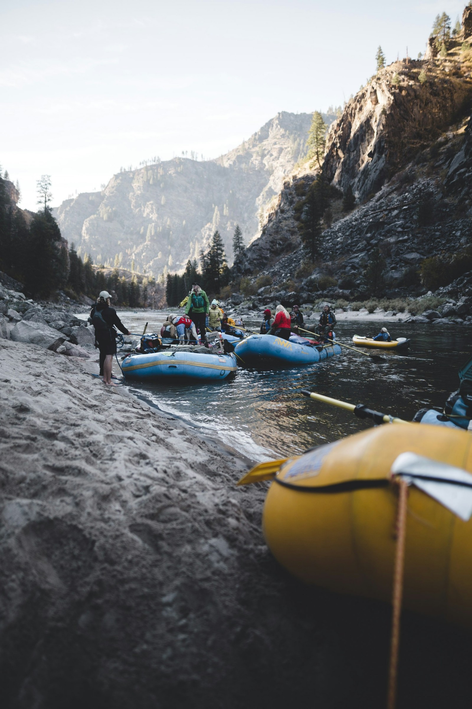 A group of people doing whitewater rafting in the wilderness.