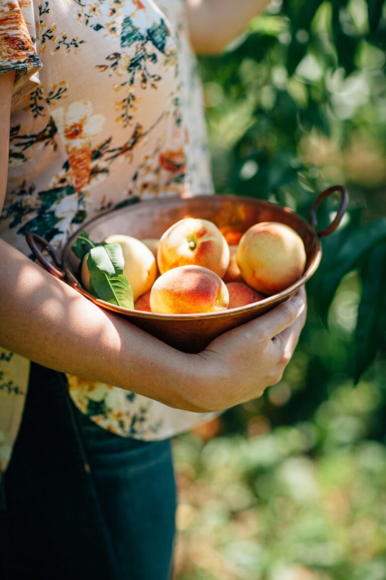 A woman holding a bowl of peaches outside in the sun.