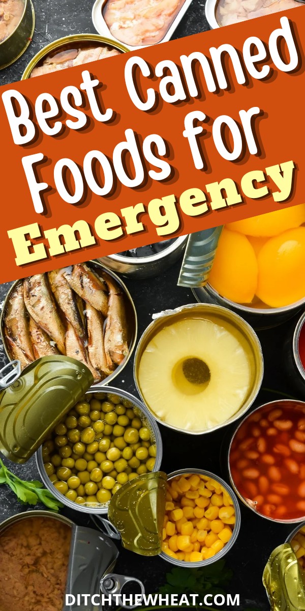 Various Canned Foods with the lids open on a dark background.